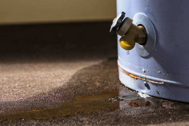 Trusted Waterville, NY Water damage restoration Experts