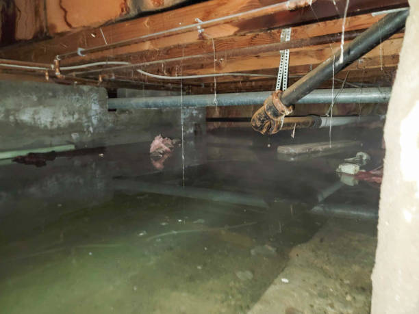 Best Ceiling water damage repair  in Waterville, NY