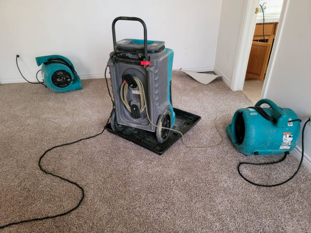 Best Sewage cleanup and water damage restoration  in Waterville, NY