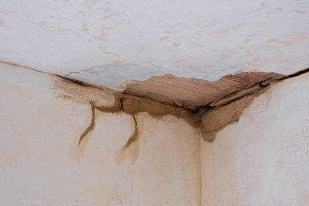 Best Local water damage restoration  in Waterville, NY