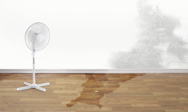 Best Residential water damage restoration  in Waterville, NY