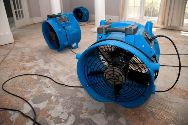 Best Water damage restoration company  in Waterville, NY