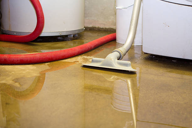 Best Flood restoration services  in Waterville, NY
