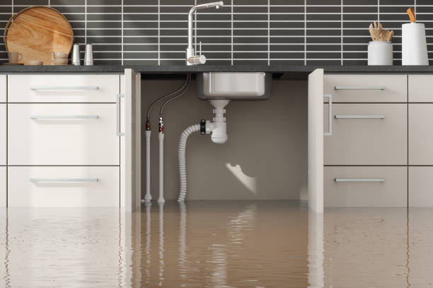 Best Flood damage cleanup  in Waterville, NY