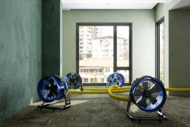 Best Carpet water damage restoration  in Waterville, NY